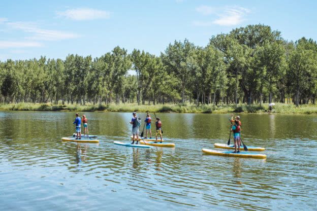 Avid4 Adventure Golden Day Camp