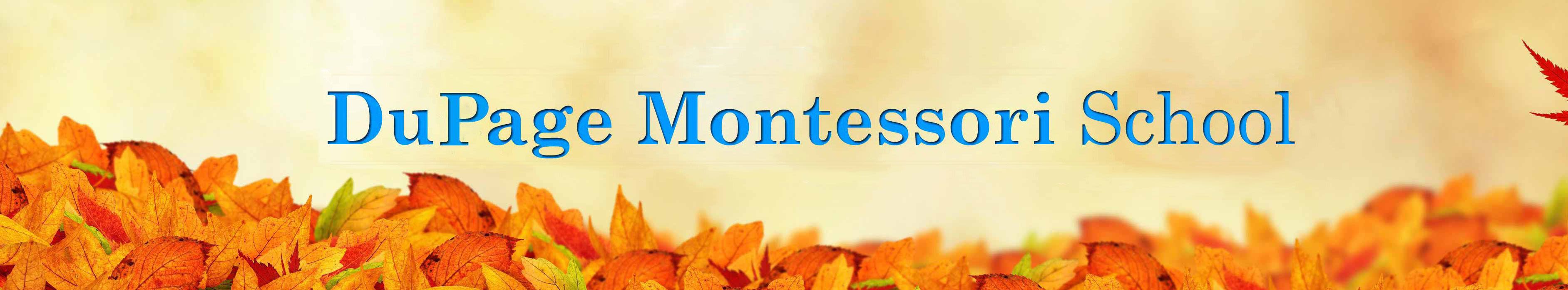 DUPAGE MONTESSORI SCHOOL
