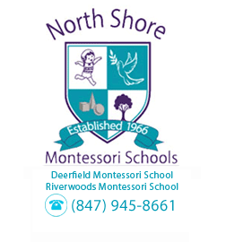 DEERFIELD MONTESSORI SCHOOL