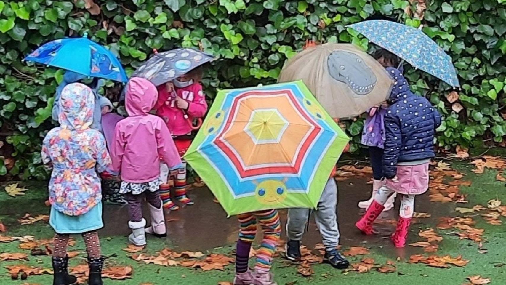 Ucla Early Care And Education