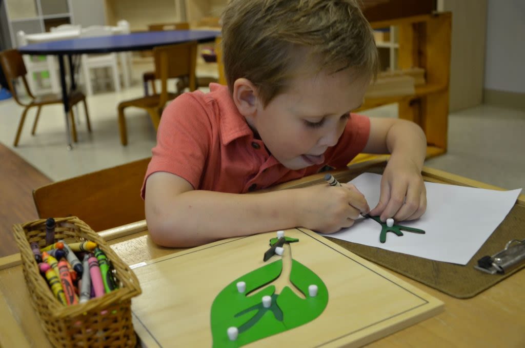 OPUS MONTESSORI SCHOOL