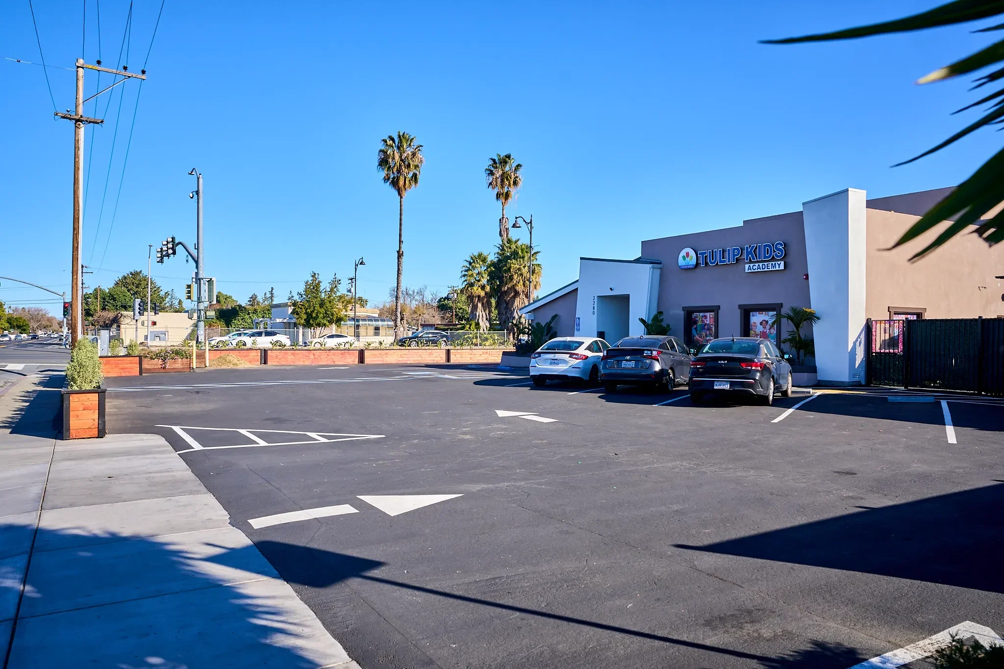 Tulip Kids Academy | Best Pre Schools in Bay Area
