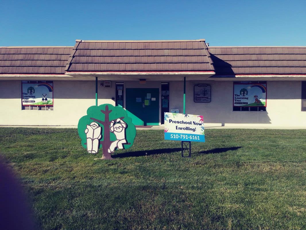 The Learning Tree Preschool