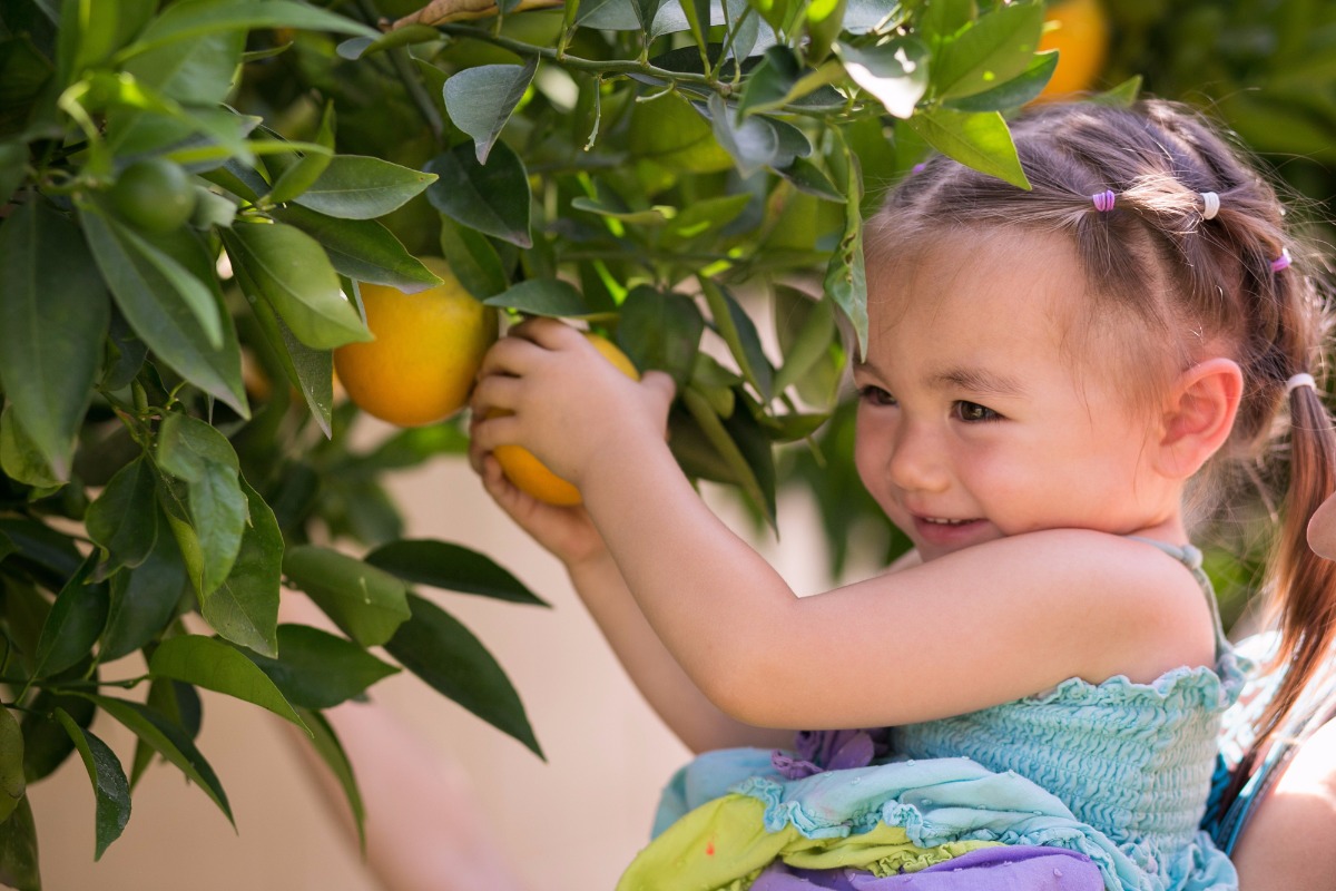 Pride &amp; Glory Montessori Wonderschool