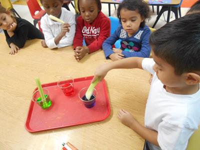 Creative Kids - Rainbow