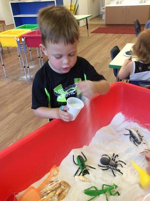 La Petite Academy of Ankeny