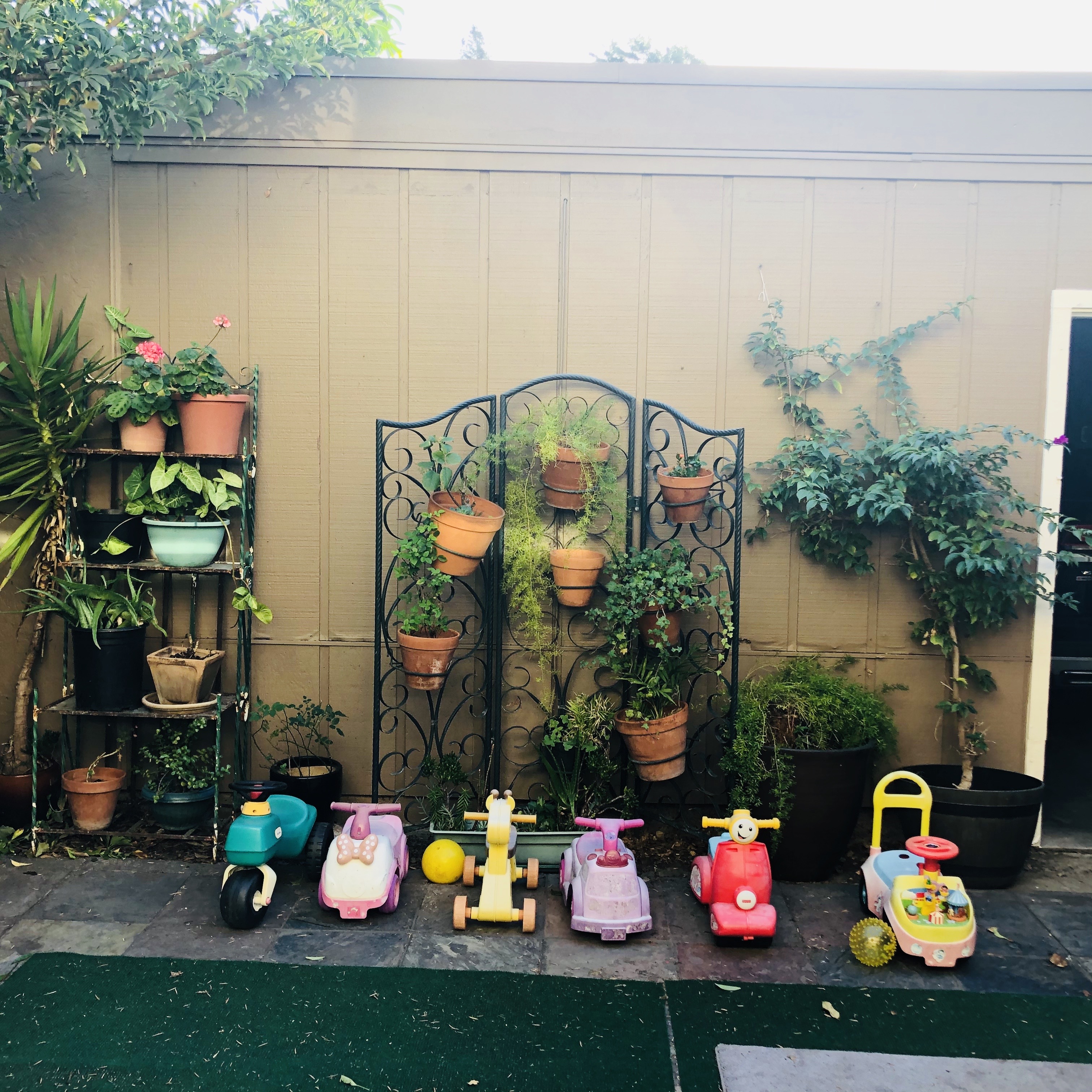 Sammi's Wonderschool