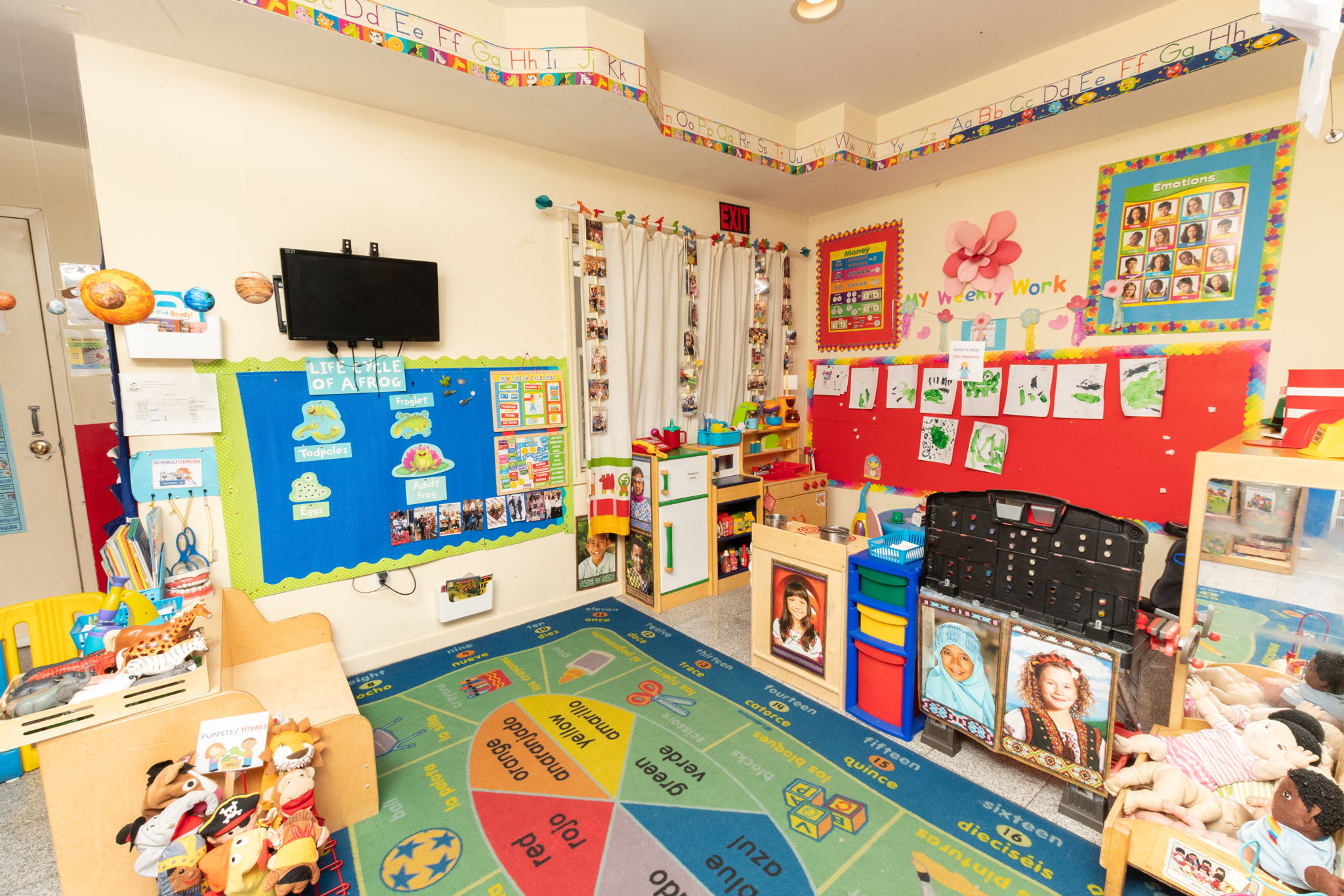 Dolphin Daycare Wonderschool