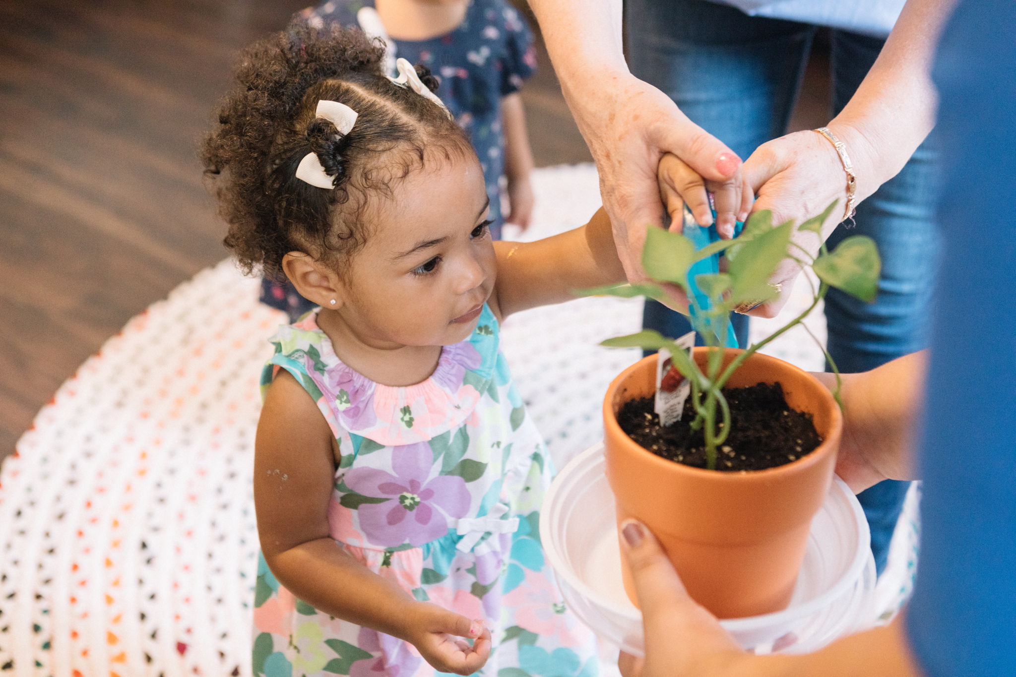 Bright Beginnings Wonderschool