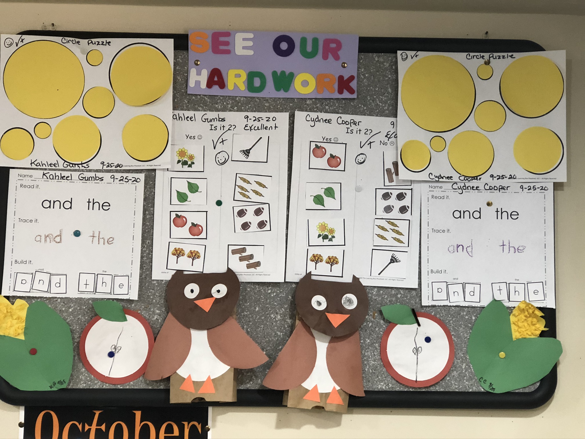 Denise's Petersen Wonderschool