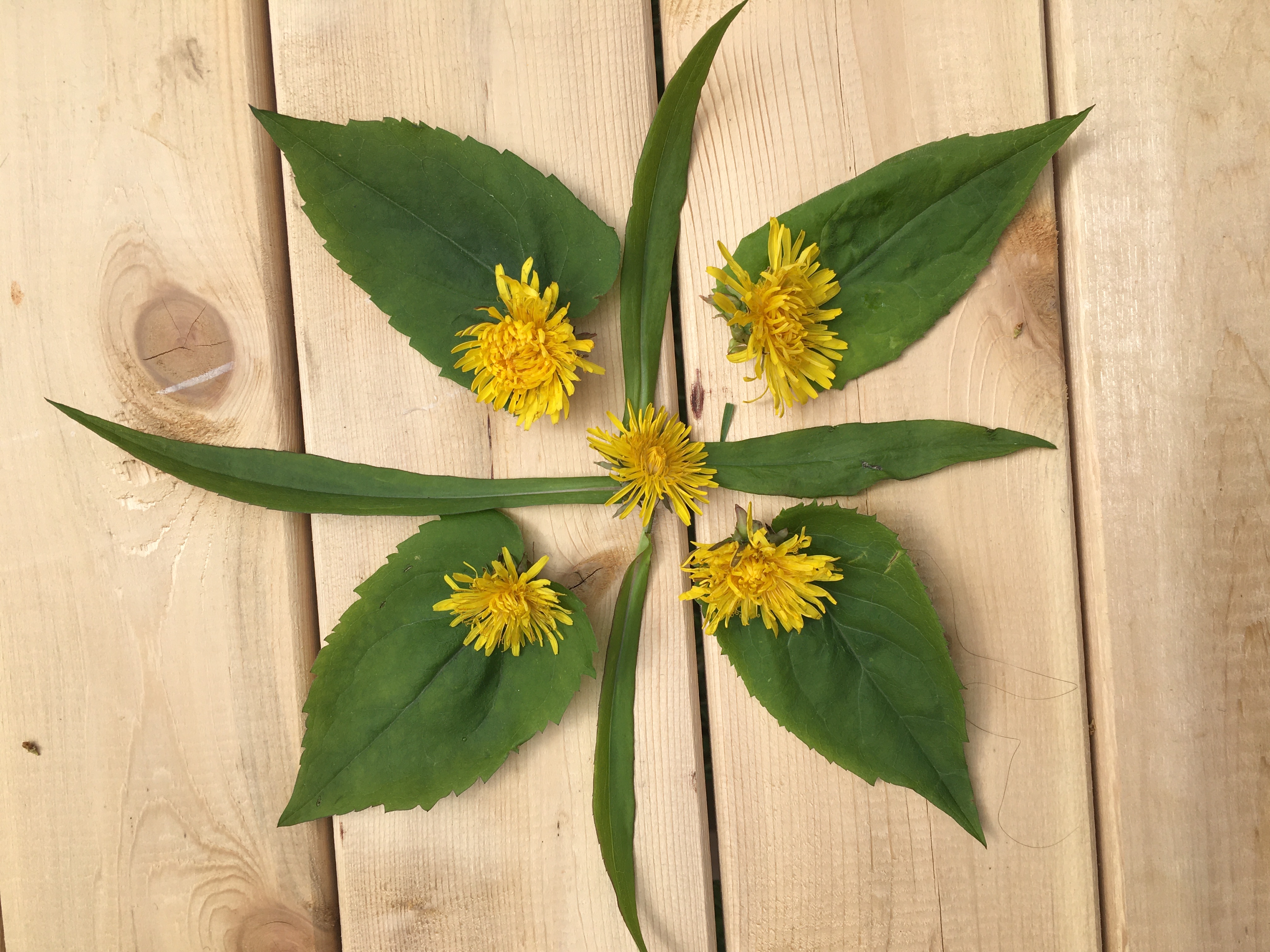 Little Diamonds Academy