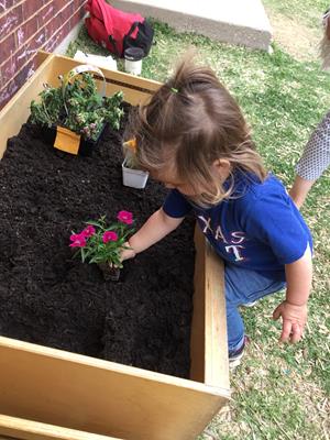 Montessori at The Courtyard