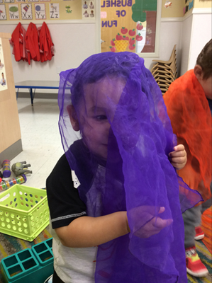 La Petite Academy of Fairview