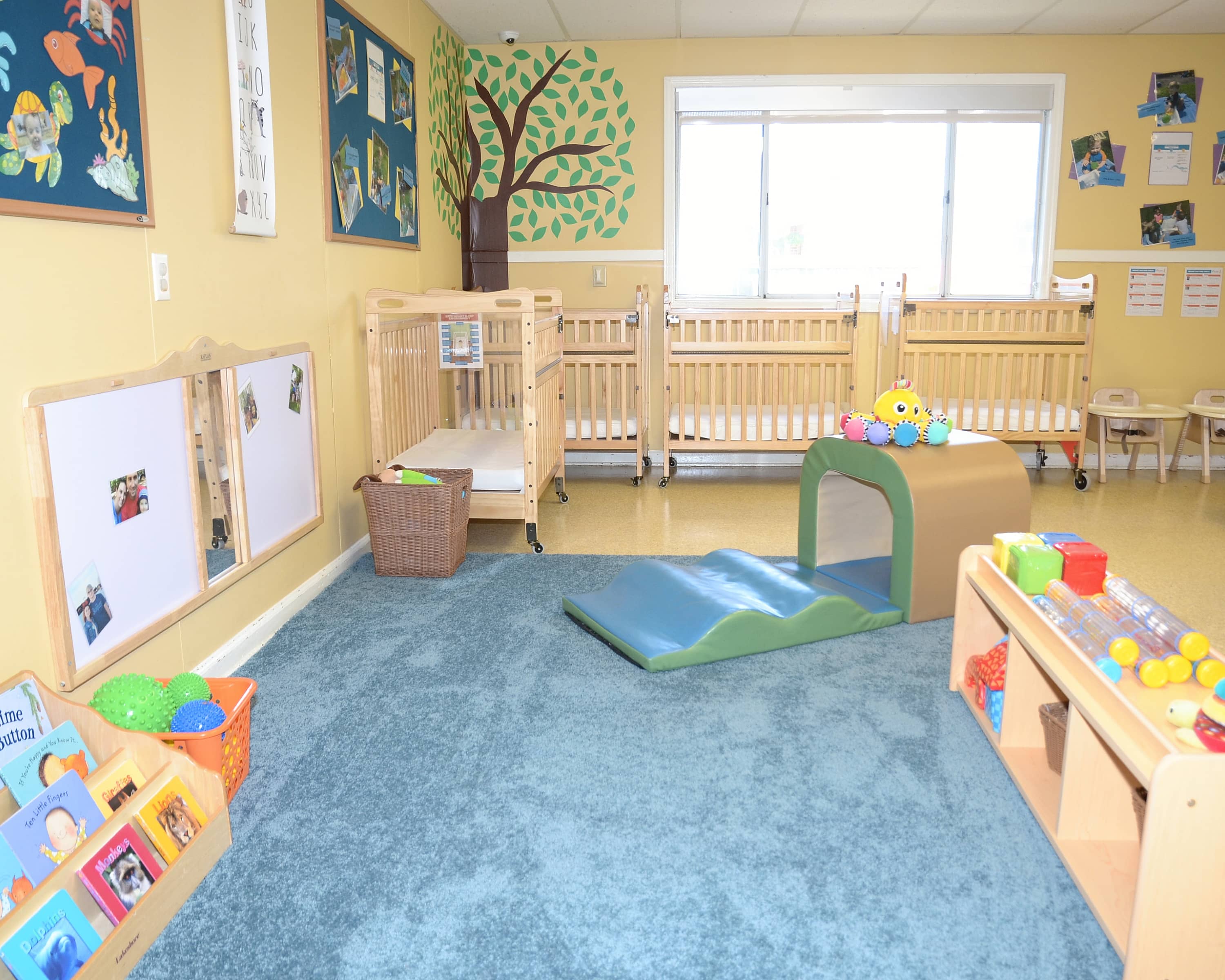 La Petite Academy on Plantation Lakes Circle