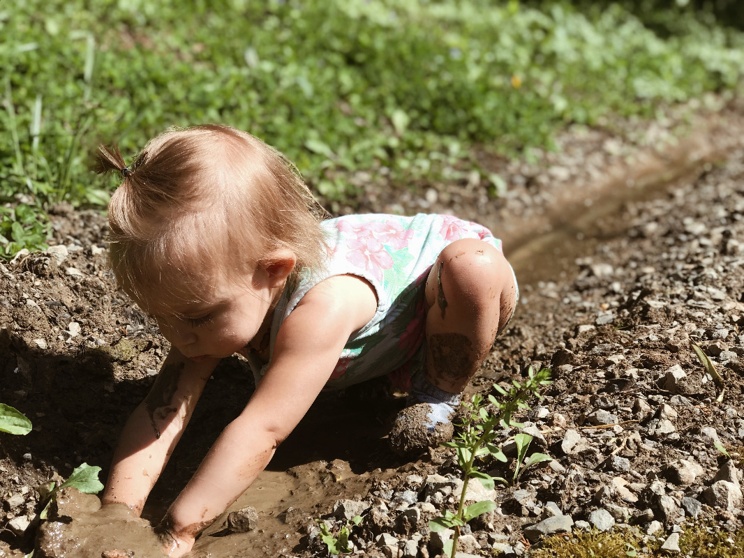 Little Wildflowers Wonderschool