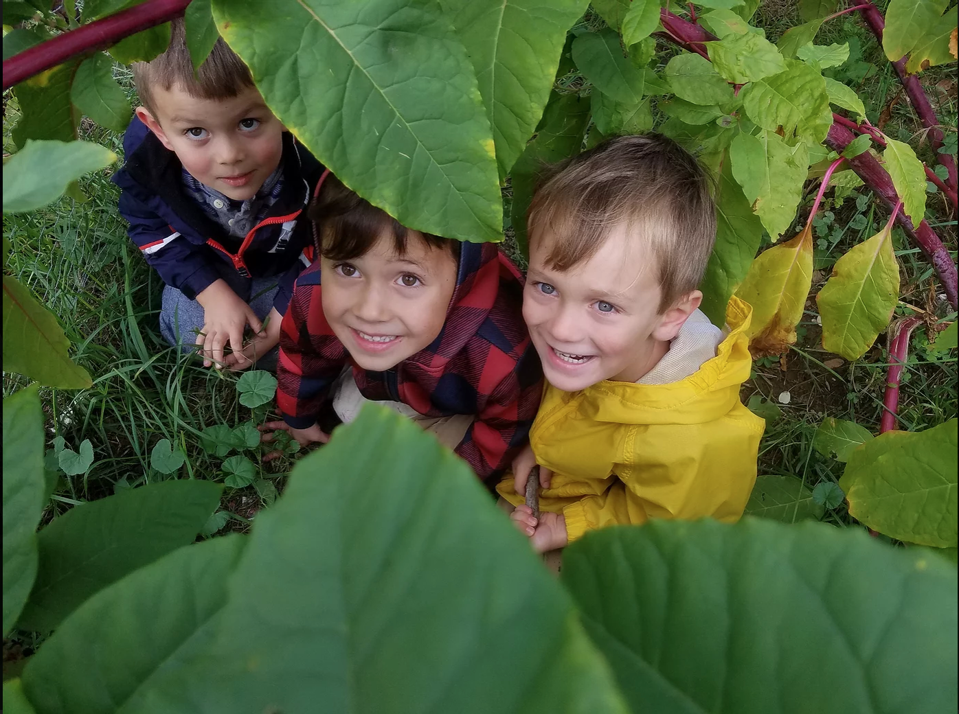 Our Secret Garden Nursery And Preschool