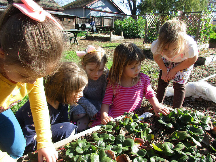 College Oak Montessori School
