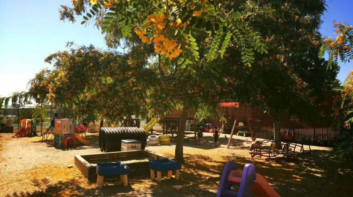 Sherman Oaks Cooperative Nursery School
