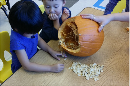 Tiny Treasures Preschool