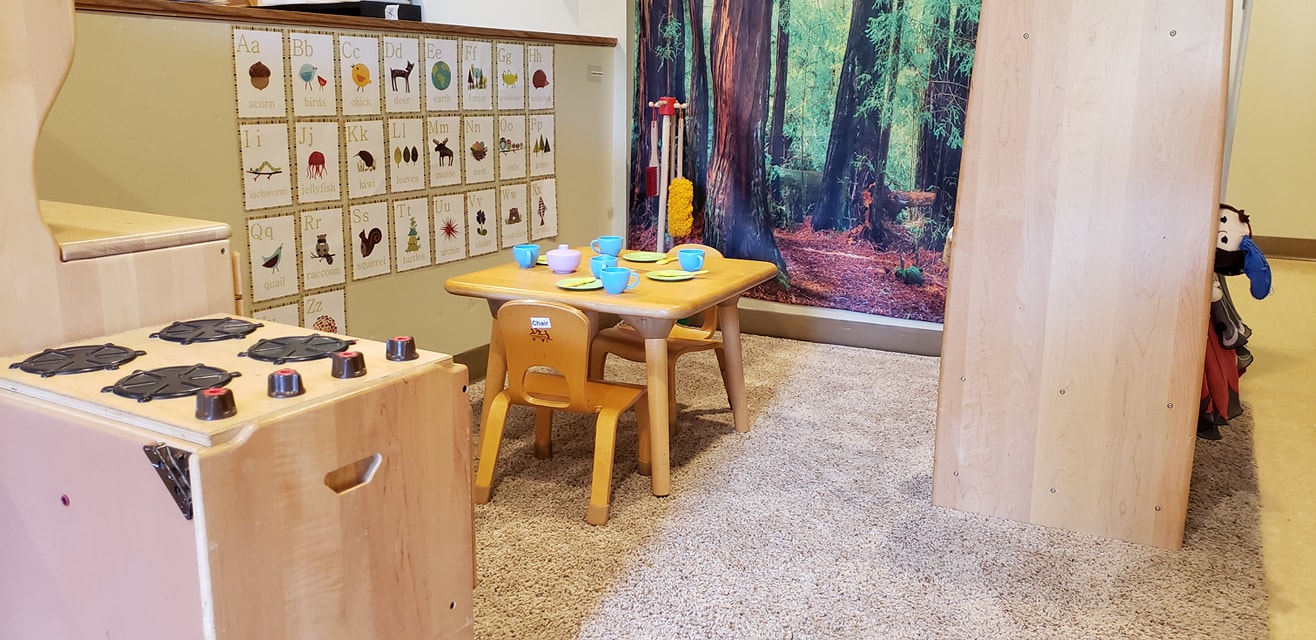 Little Chicks Learning Academy