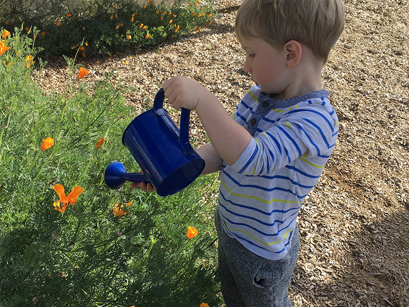 AUBURN'S HOUSE MONTESSORI SCHOOL