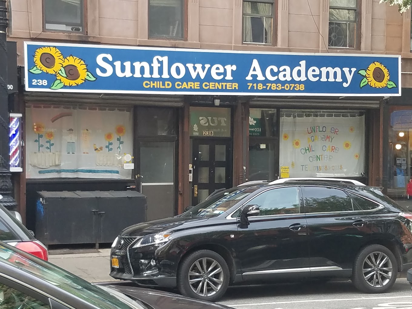 Natalie's Sunflower Academy