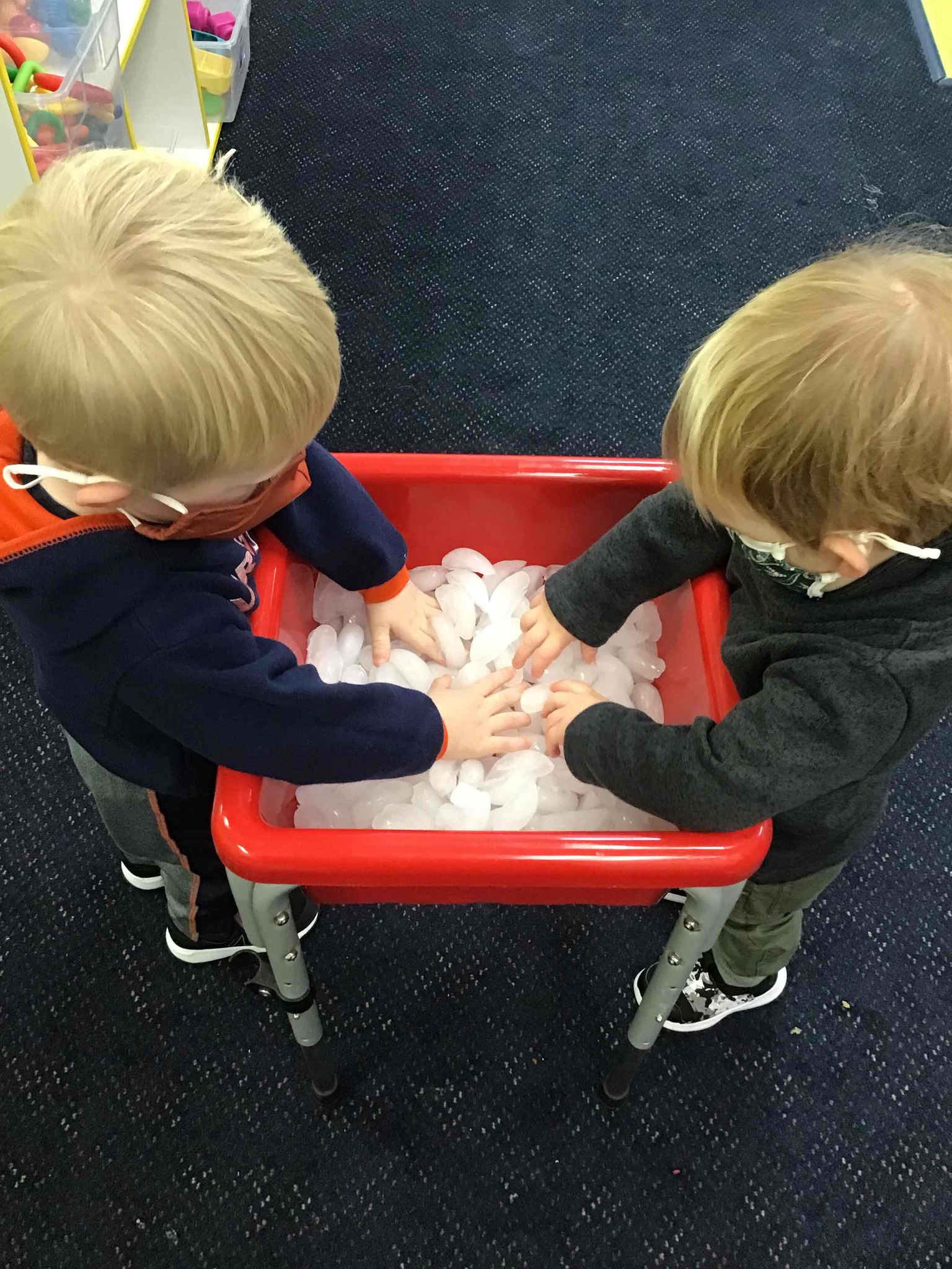 The Learning Experience