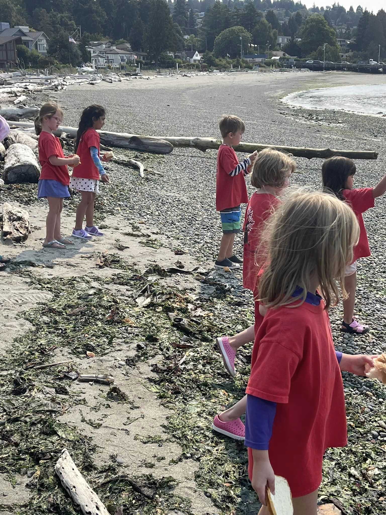 Alki Beach Academy