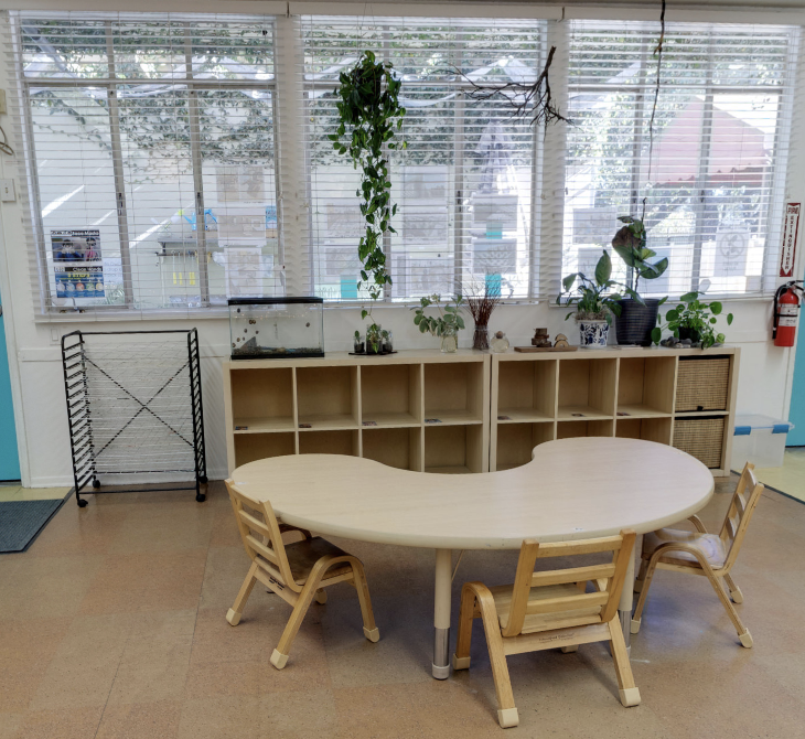 Young Minds Early Learning Academy