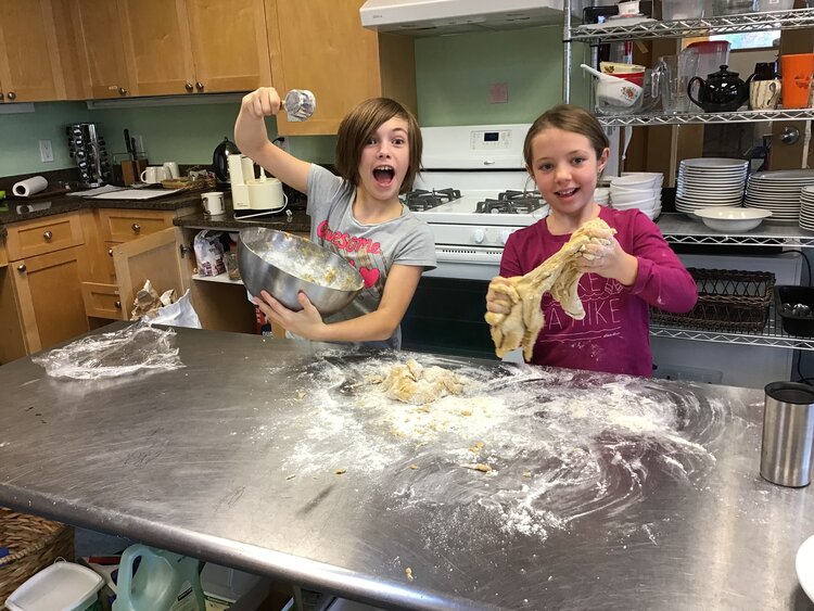 Meadows Montessori School