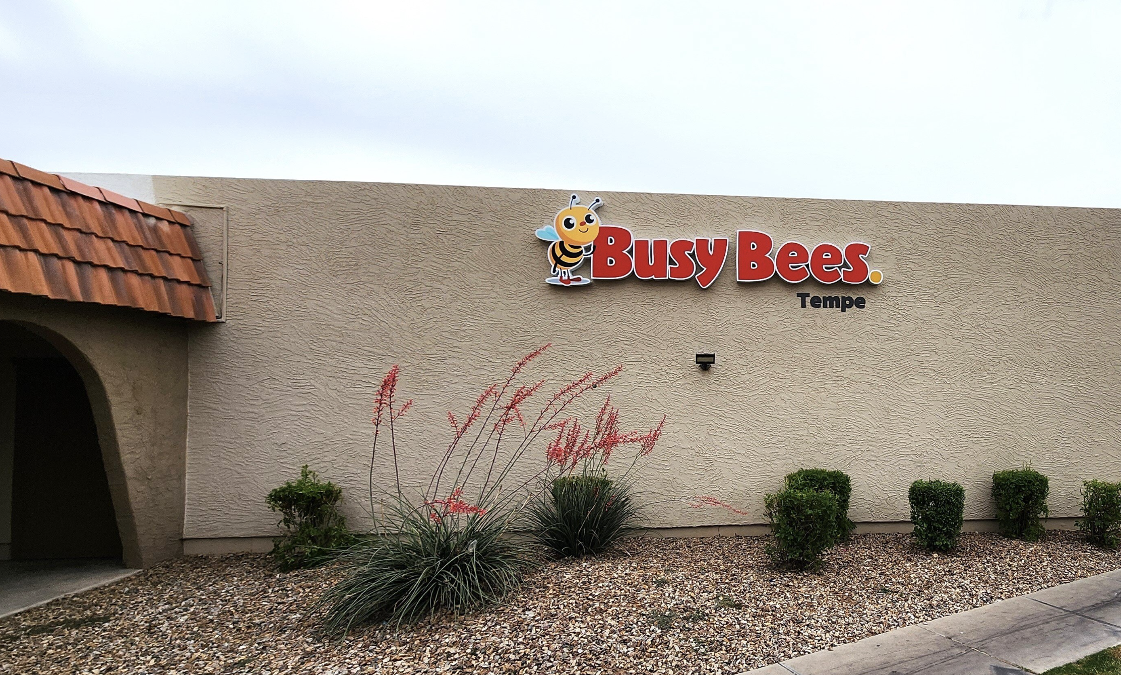 Busy Bees Arizona Tempe