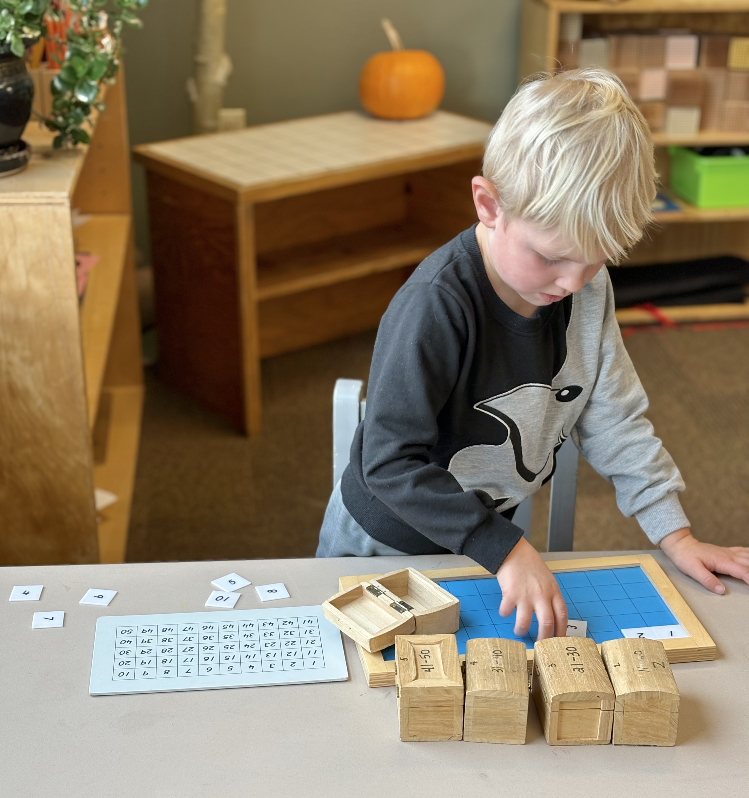 Mountain Meadows Montessori