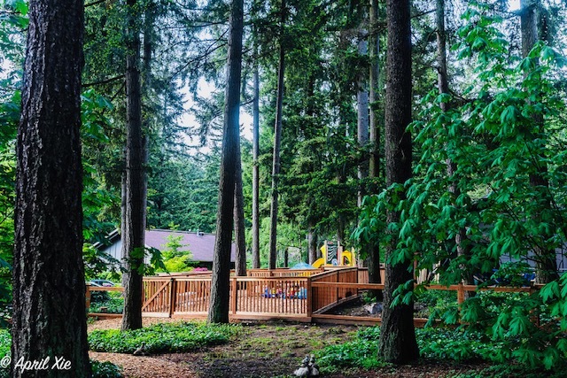 Evergreen Montessori Academy- Overlake Park
