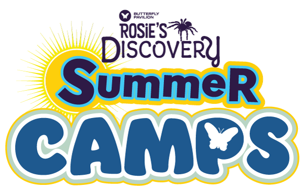 Rosie's Discovery Summer Camps at Butterfly Pavilion