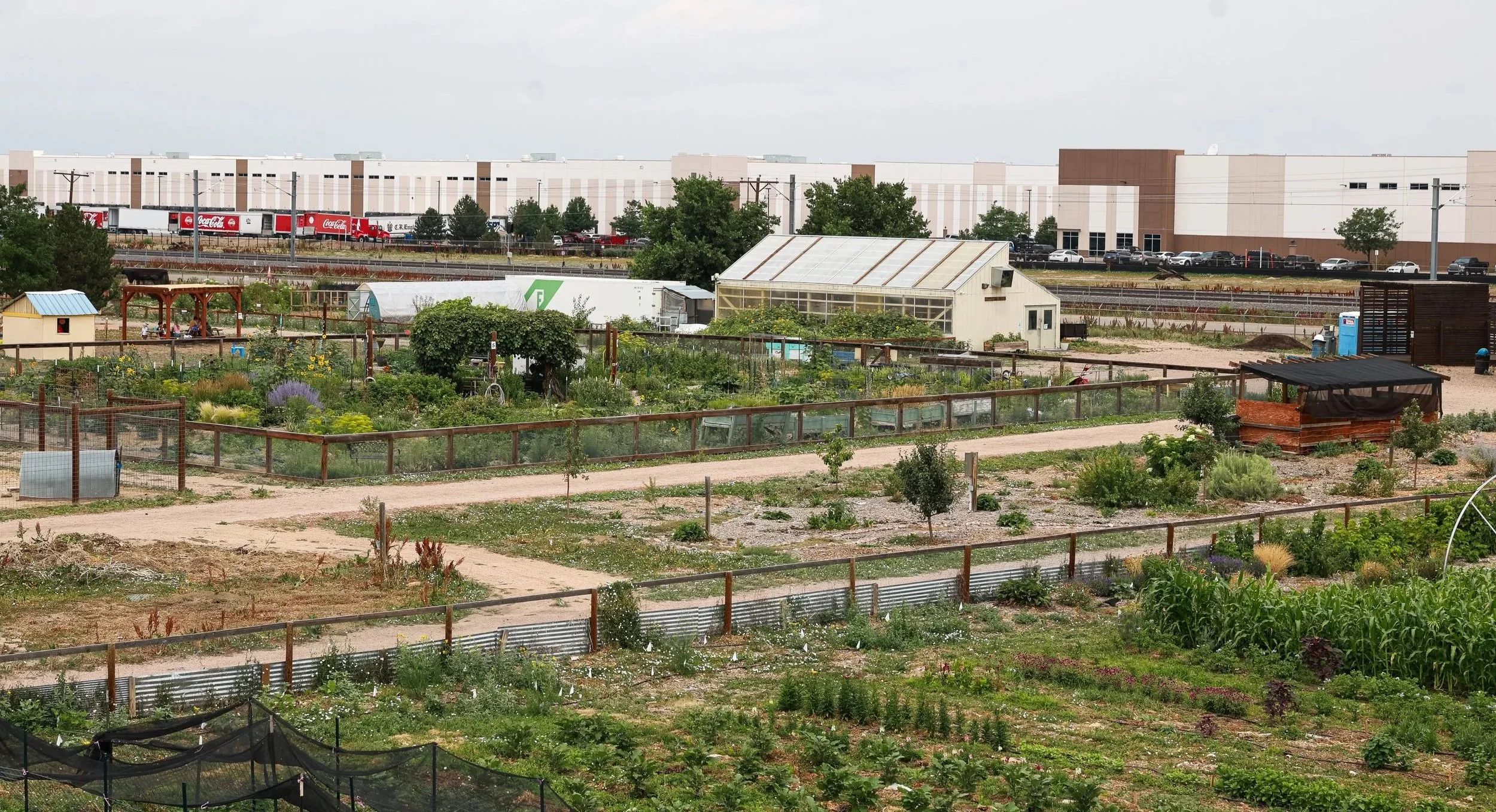 The Urban Farm