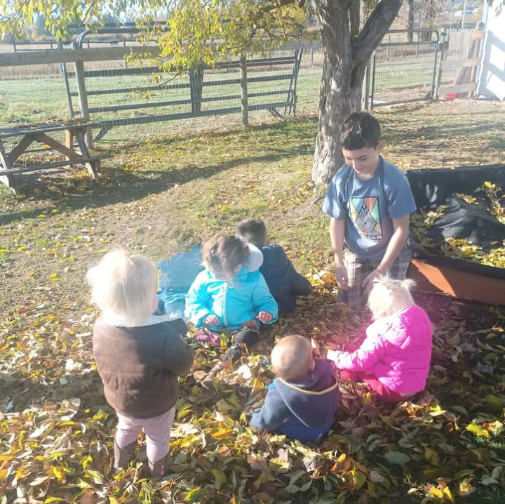 Meadow Vista Child Enrichment
