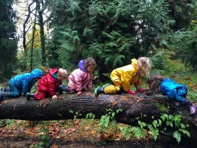 Fiddleheads Forest School
