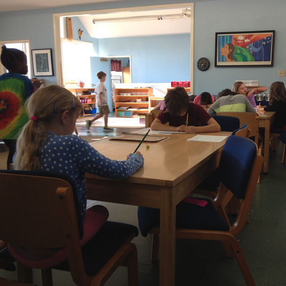 The Maria Montessori School