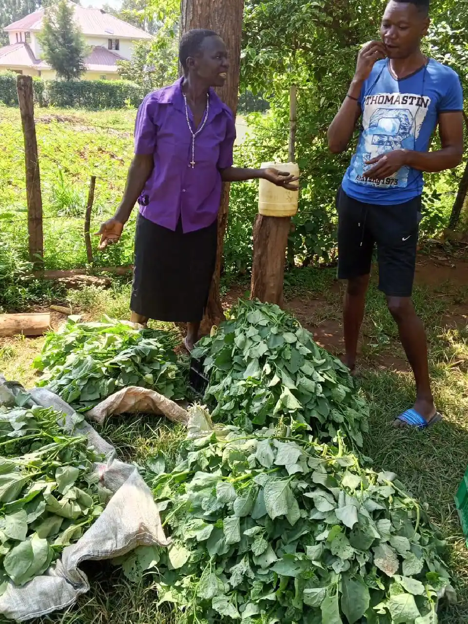 Women and Youth Empowerment