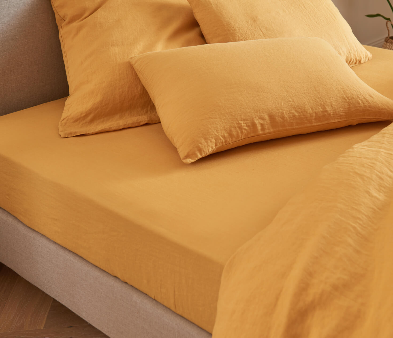 Drap Housse 160x200+35 cm Coton Gold matelas épais