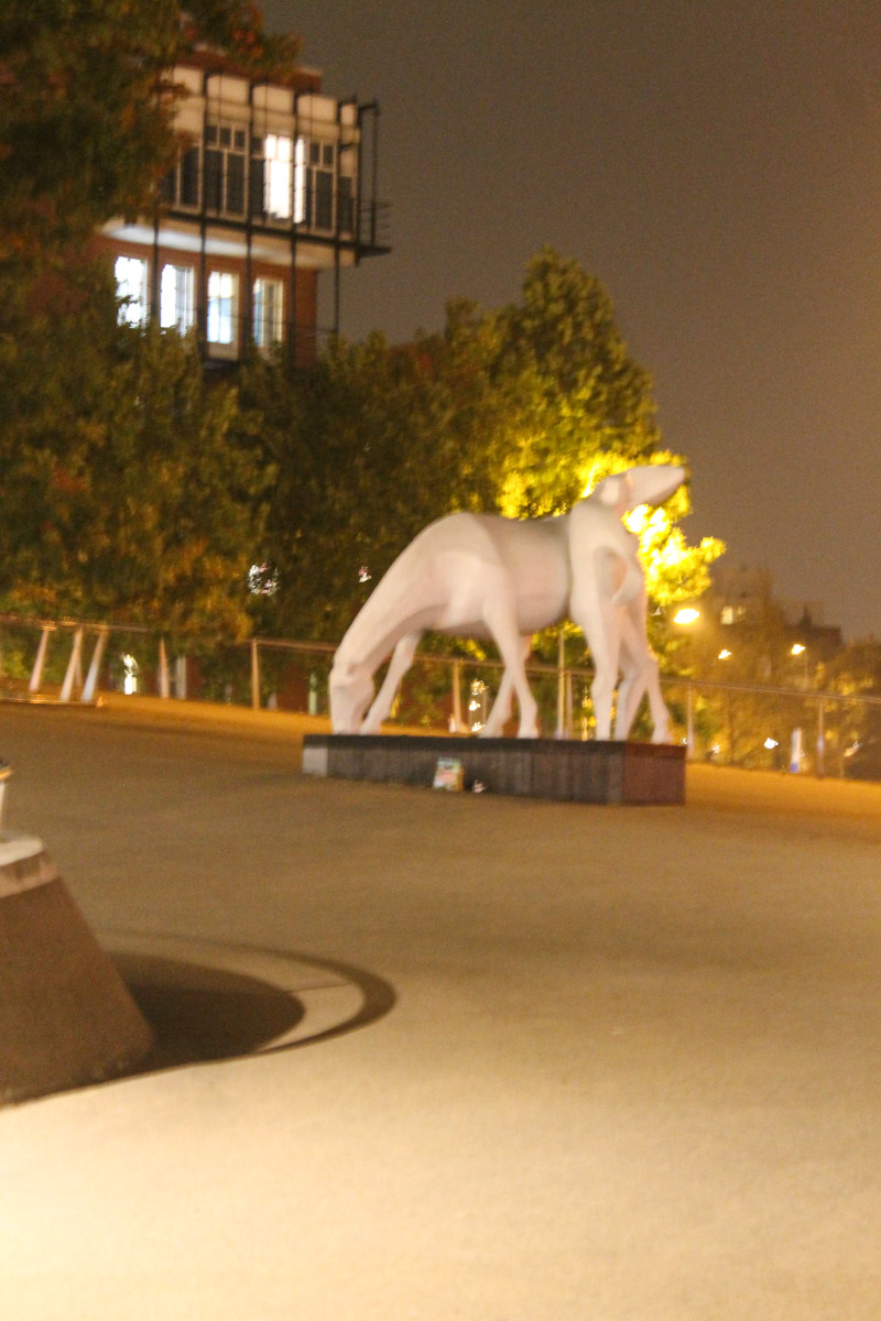 Гронинген