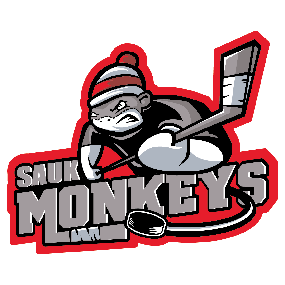 Sauk Prairie Flyers Logo