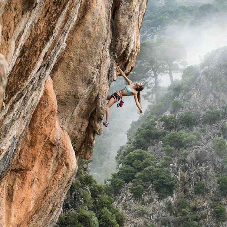 woman rock climbing outdoors over a forest