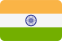 Flag for हिंदी