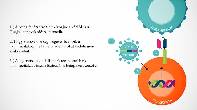 immunterápia