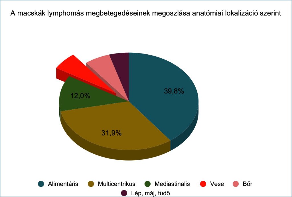 macska lymphoma megoszlás