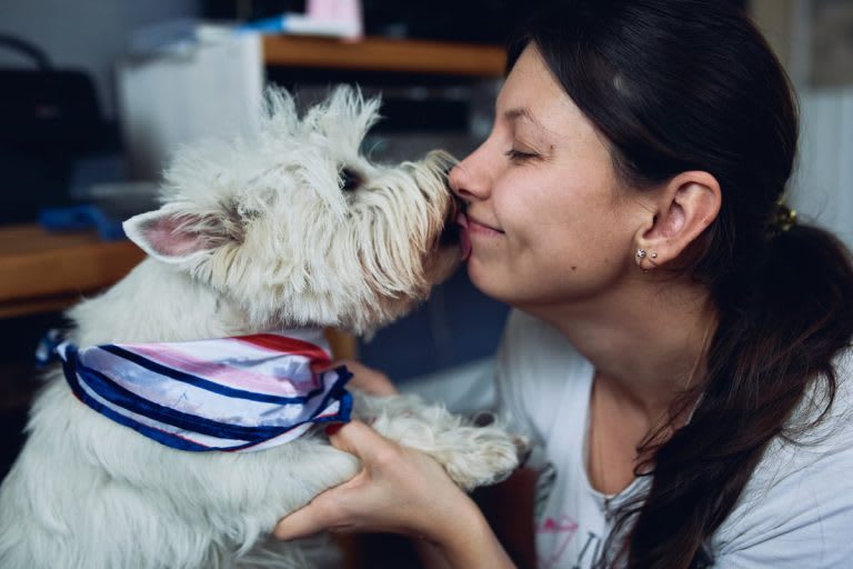 westie családban