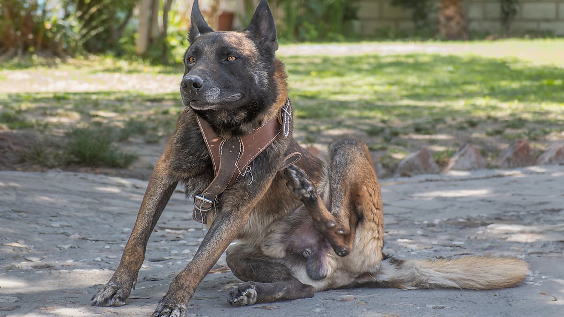 A vakarózás nyomában