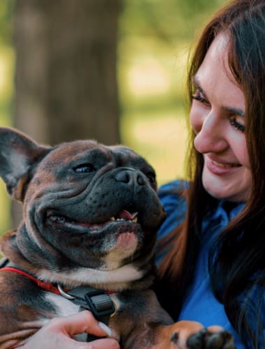 A francia bulldogokra legjellemzőbb daganatos betegségek