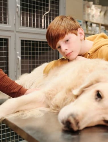 Sugárterápia kutyáknál